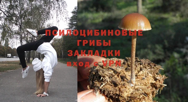 не бодяженный Алексин