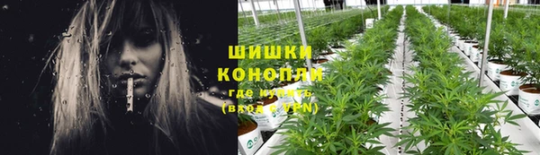 трава Абинск