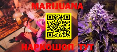 шишки Новодвинск