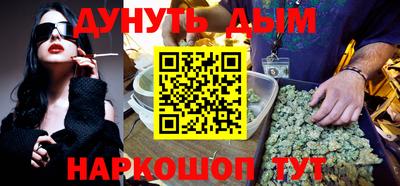 шишки Новодвинск