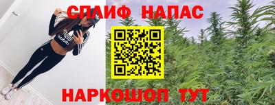 спиды Обь