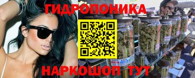спиды Обь
