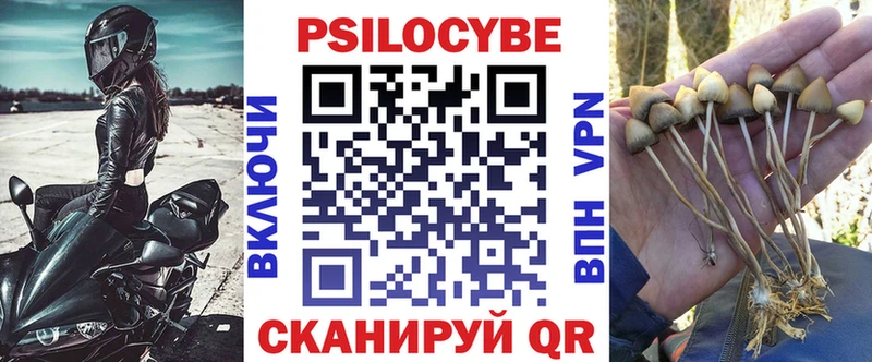 Псилоцибиновые грибы прущие грибы  дарк нет какой сайт  Южноуральск  закладки 
