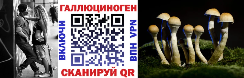 Псилоцибиновые грибы ЛСД Южноуральск