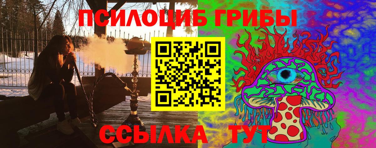 Псилоцибиновые грибы мицелий Южноуральск