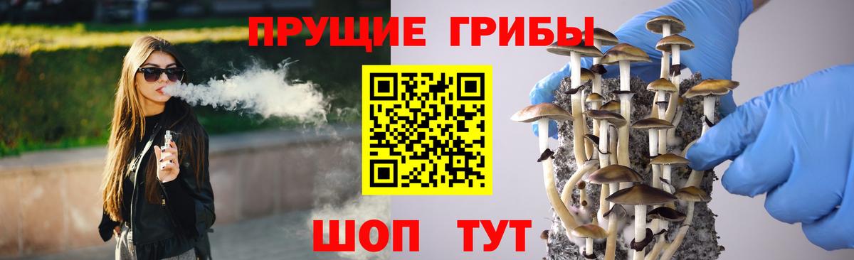 Псилоцибиновые грибы ЛСД  Вход с VPN  Южноуральск  Псилоцибиновые грибы Cubensis 