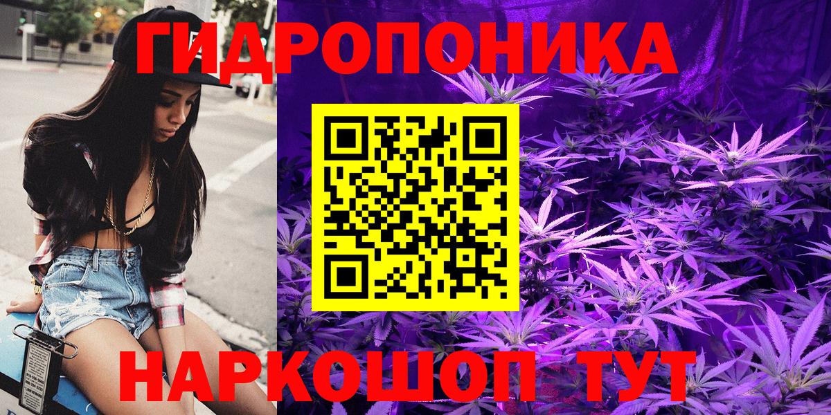 Бошки марихуана план  Конопля семена  Южноуральск  Конопля MAZAR  Вход с VPN 